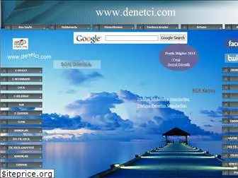 denetci.com