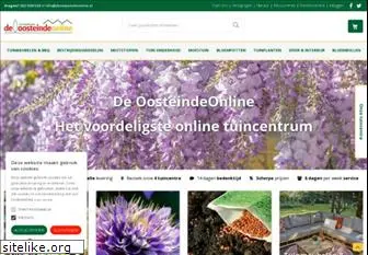 deoosteindeonline.nl