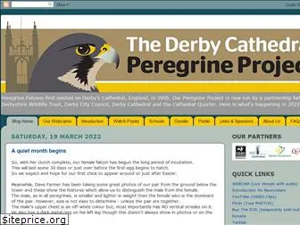 derbyperegrines.blogspot.com