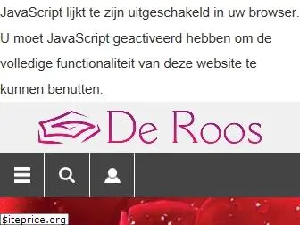 deroosbv.com