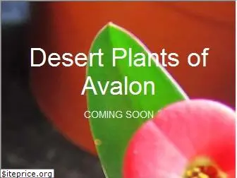 desertplantsofavalon.com