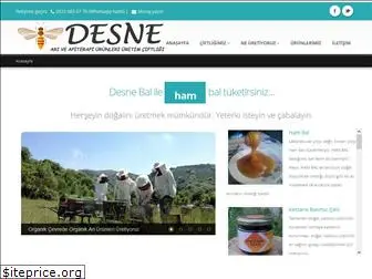 desne.com.tr