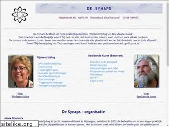 desynaps.nl