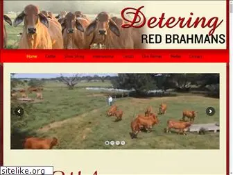 deteringredbrahmans.com