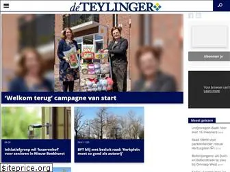 deteylinger.nl