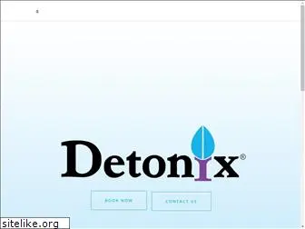 detonix.com