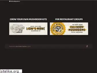 detroitmushroom.com