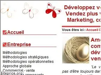 developpezvosventes.com