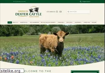 dextercattle.org