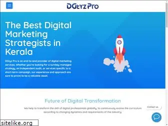 dgtyzpro.com