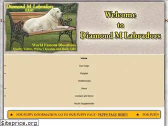 diamondmlabradors.com