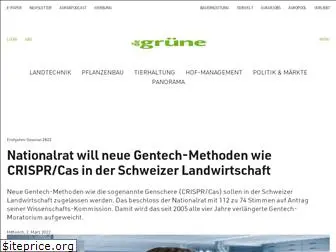 diegruene.ch