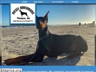 dieseldobermans.org