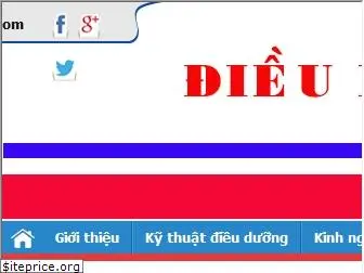 dieuduongviet.com