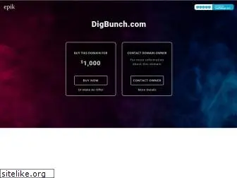 digbunch.com