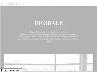 digibale.com