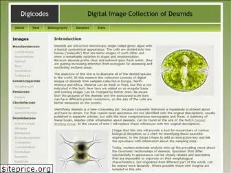 digicodes.info