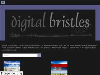 digitalbristles.com