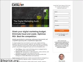 digitalmarketingaudit.com