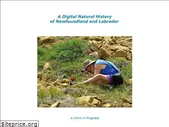 digitalnaturalhistory.com