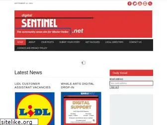 digitalsentinel.net