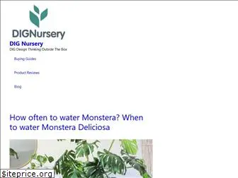 dignursery.com