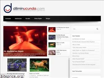 diliminucunda.com