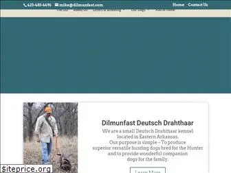 dilmunfast.com