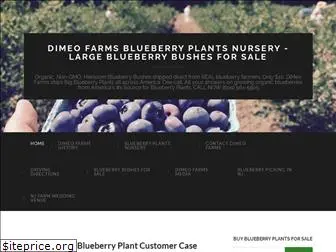 dimeofruitfarms.com