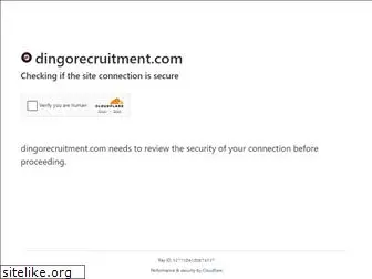 dingorecruitment.com