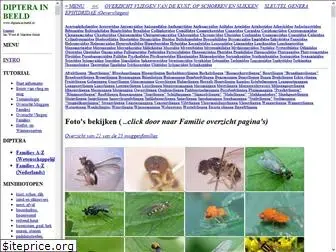 diptera-in-beeld.nl