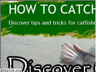 discovercatfishing.com