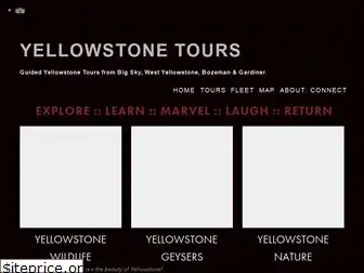 discoveryyellowstonetours.com