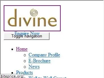 divineglobal.in