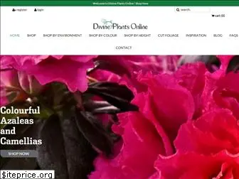 divineplantsonline.com.au