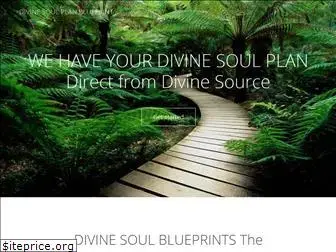 divinesoulplanblueprint.com