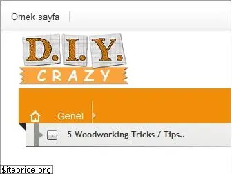 diycrazy.net