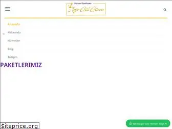 diyetisyenaysegulguven.com