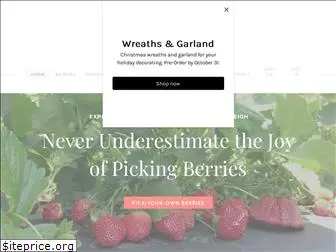 djsberrypatch.com