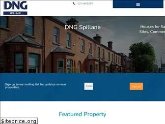 dngspillane.ie