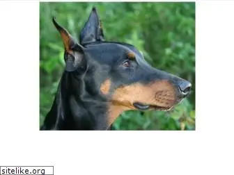 dobermann-hilfe.de