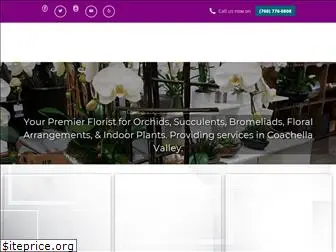 doctororchids.com