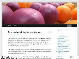 dodgeball101.wordpress.com