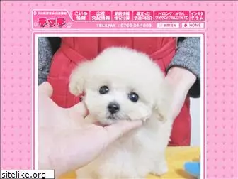 dog-chicchi.com