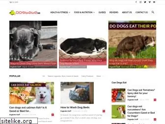 dogbabe.com