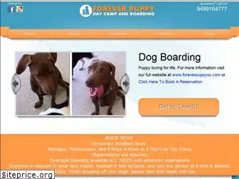 dogboardingmissionviejo.com