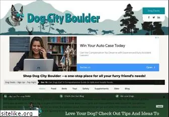 dogcityboulder.com