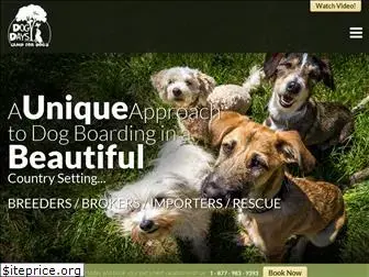 dogdayscamp.com