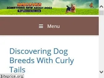 dogdiscoveries.com