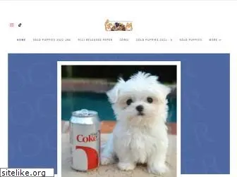 dogfinderph.com
